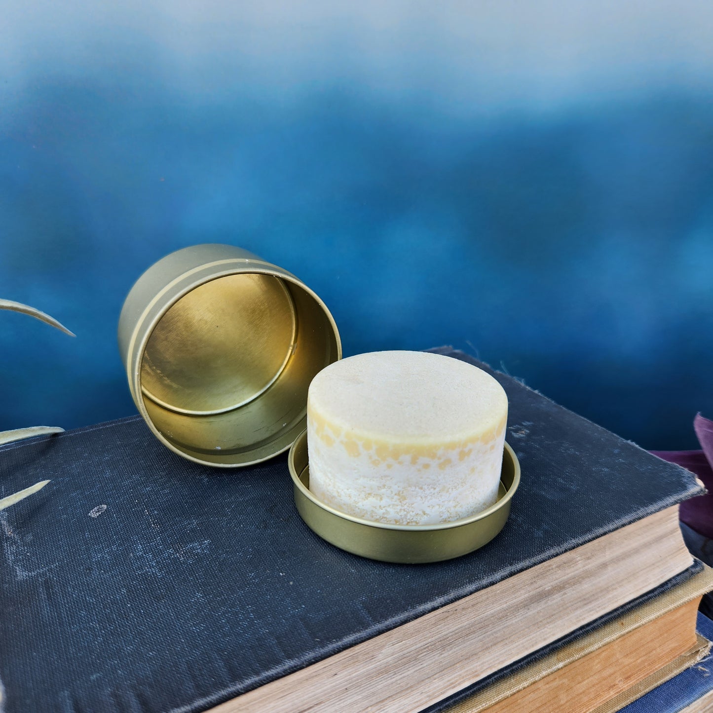 Shampoo Bar: Clean Slate, Unscented, and Patchouli Citrus