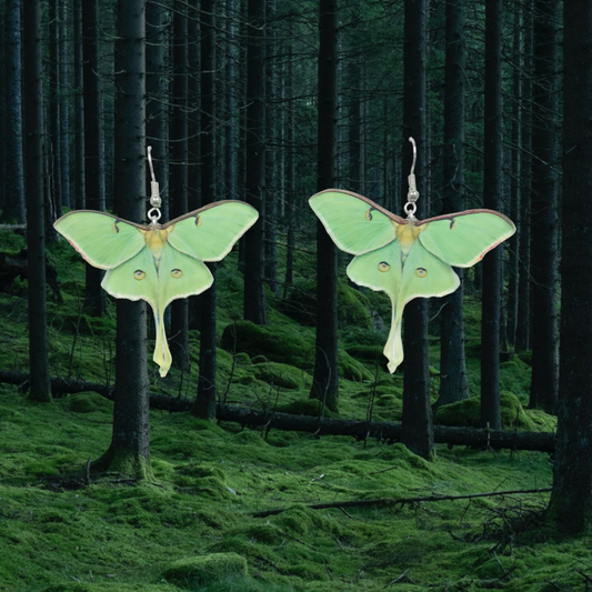 Luna Moth Green Acrylic Earrings