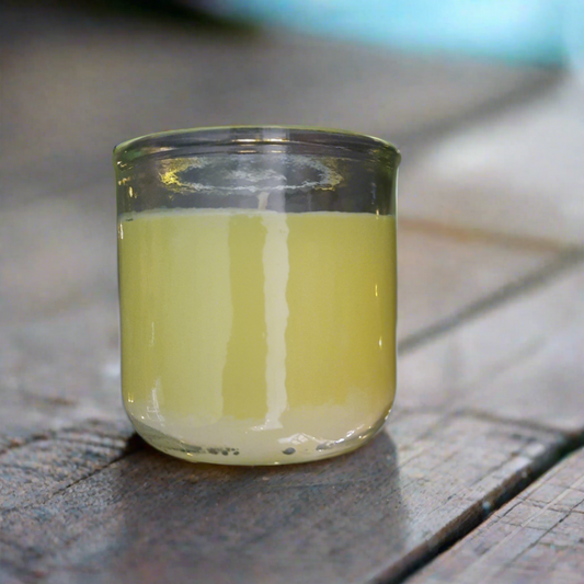 Great Outdoors Citronella Soy Wax Candle