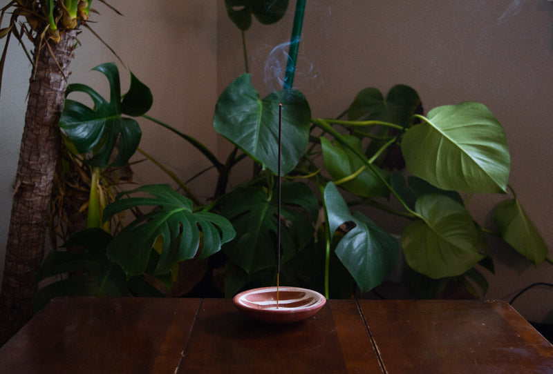 Orange + Cinnamon + Clove All Natural Incense Sea Witch Botanicals