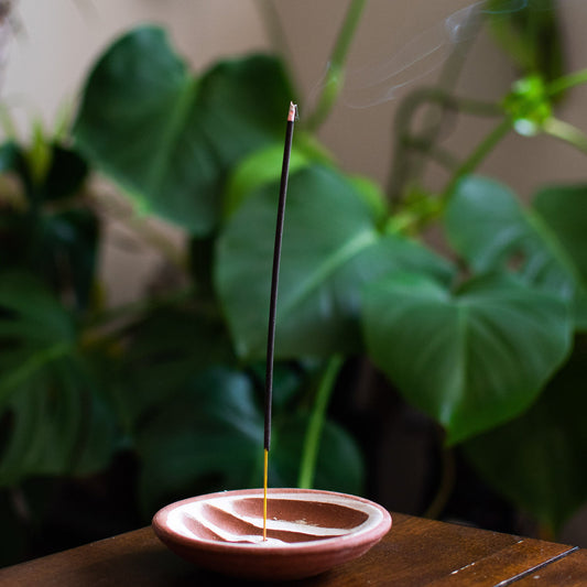 Star Anise All Natural Incense Sea Witch Botanicals