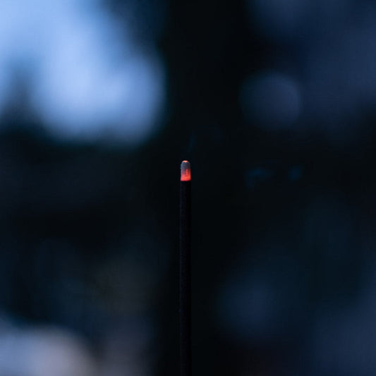 Cedar + Fir All Natural Incense Sea Witch Botanicals