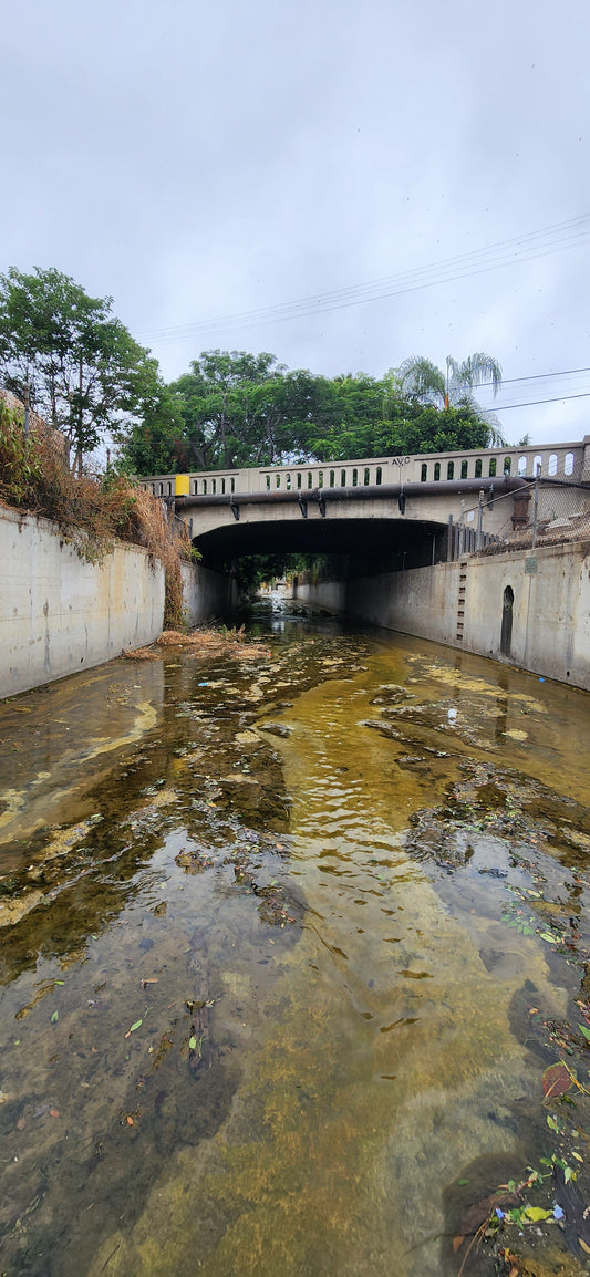 Storm Drain Cleanup Volunteering