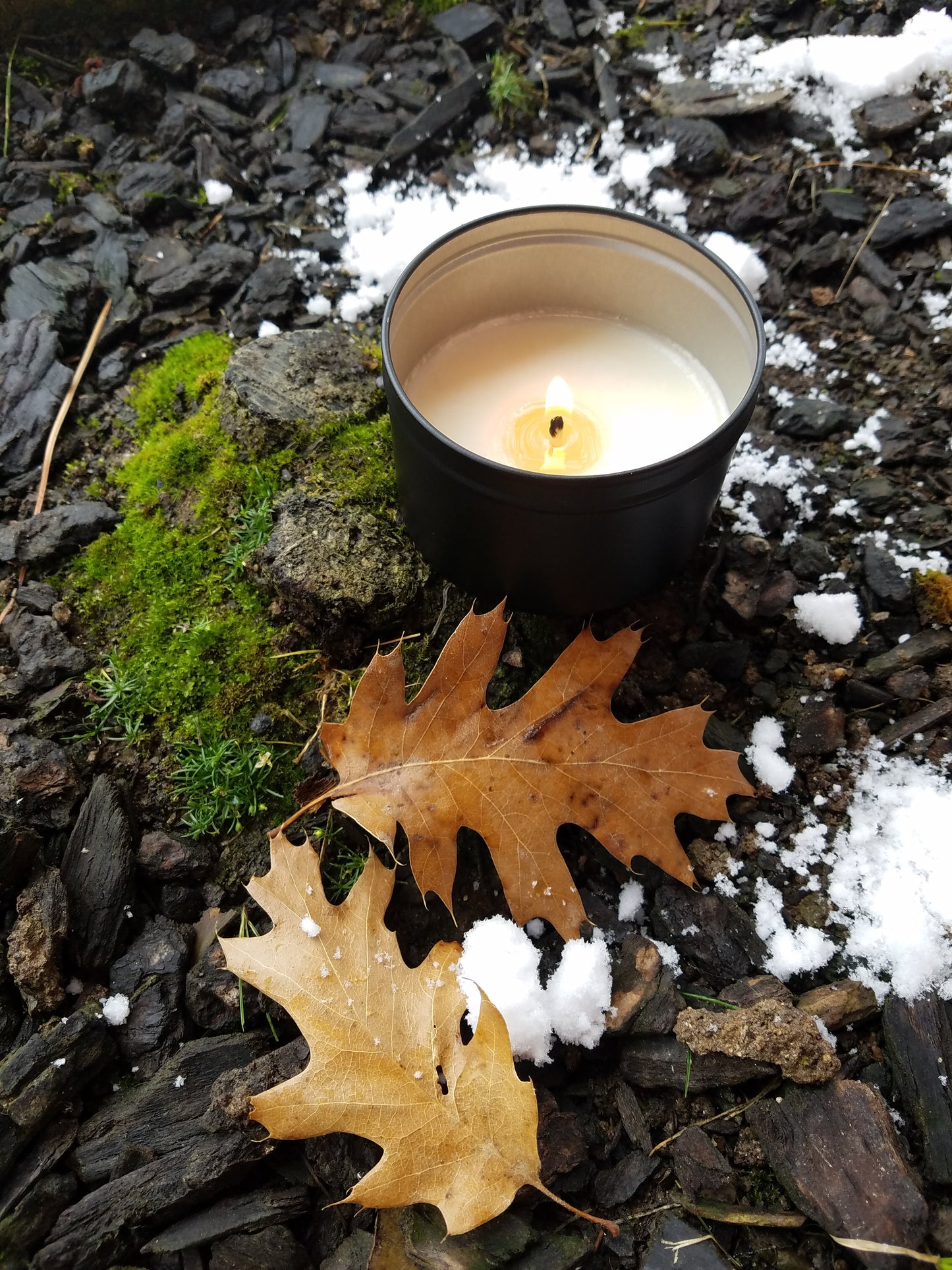 Amber + Moss Soy Wax Candle