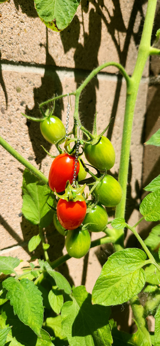 Juliet Tomato 🍅Earrings