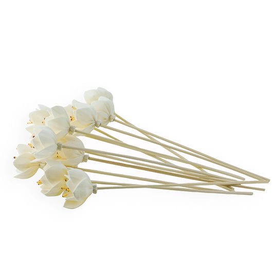 Reed Diffuser Flower Decoration