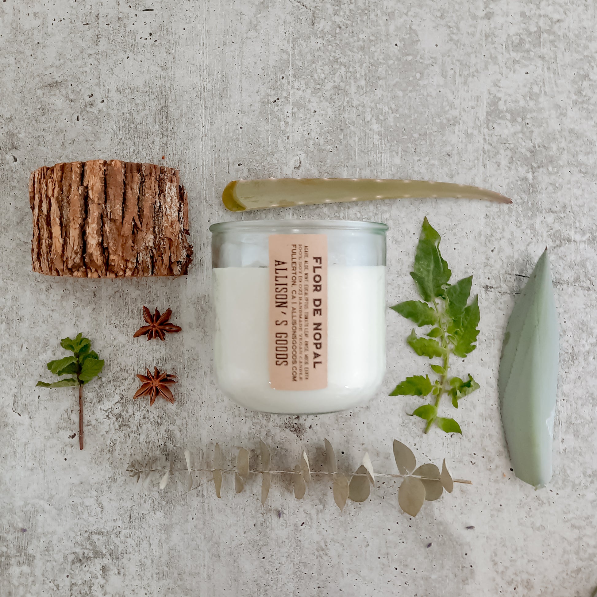 flat lay of sustainable vegan candle jar on cement with wood agave aloe spices and herbs