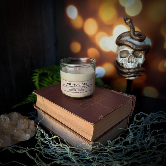 Mulled Cider Vegan Soy Candle